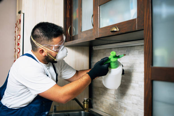 Best Pest Control for Homes  in Jackson, MI
