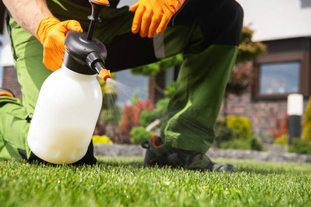 Best Affordable Pest Control Services  in Jackson, MI