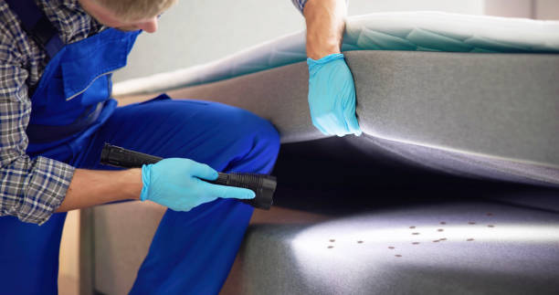 Reliable Jackson, MI Pest Control Solutions