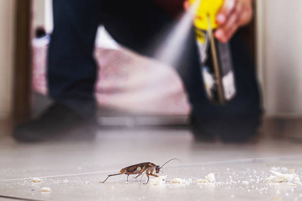  Jackson, MI Pest Control Pros